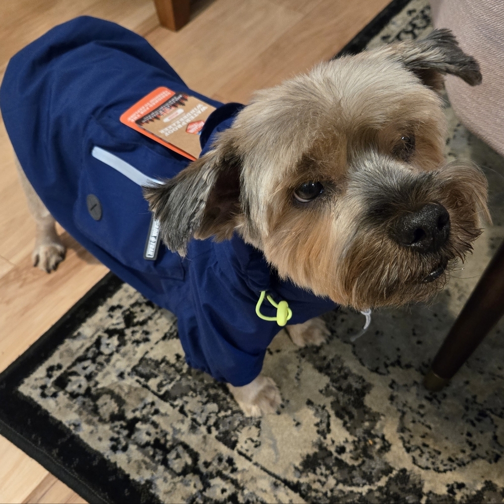 Arcadia Trail® Waterproof Dog Windbreaker Jacket M - Picture 4 of 16